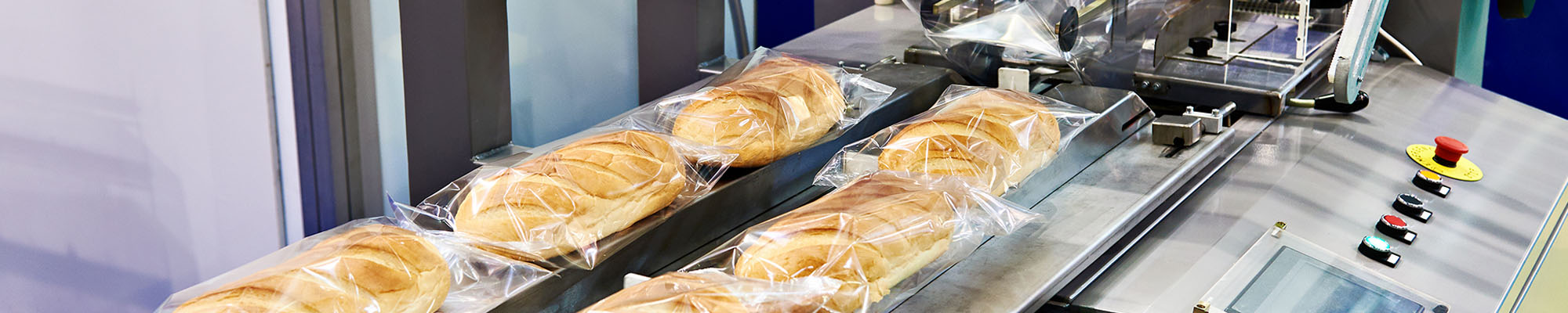 Conveyor Belts For The Food Industry